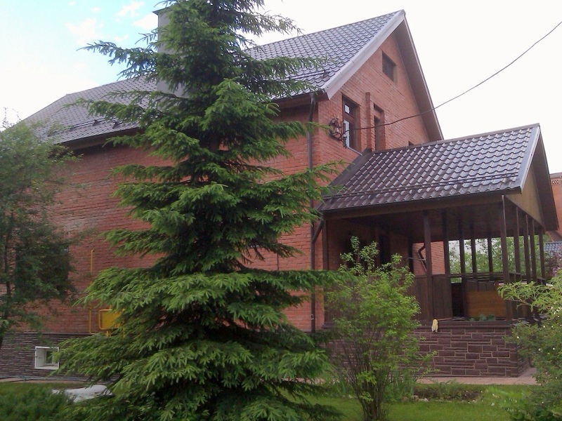 Таганьково: дом площадью 300 кв.м на участке 13 сот. | ID 23875