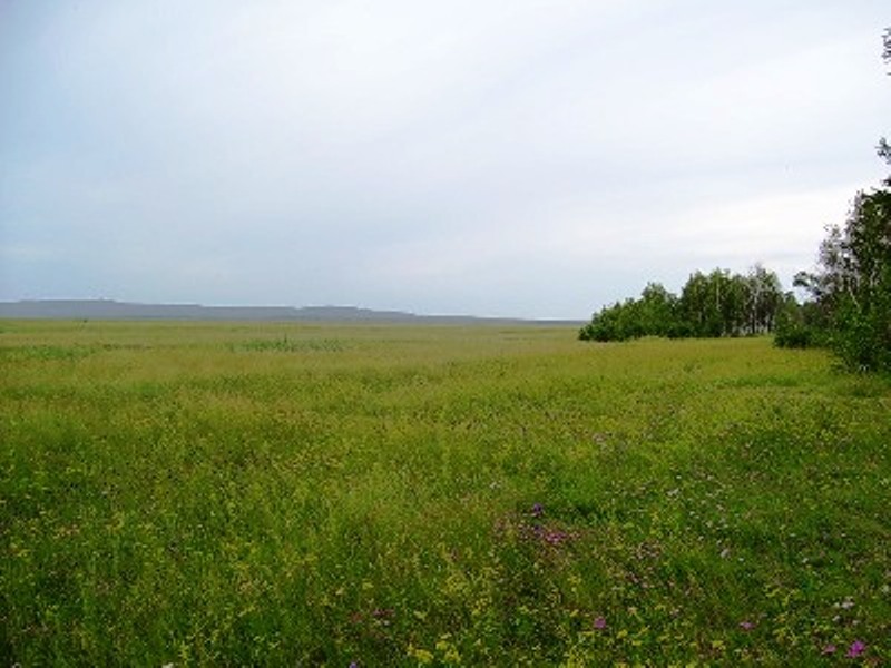 Иславское: земельный участок 17 сотка в 25 км от МКАД | ID 16283