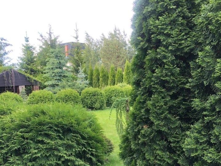 Шульгино: дом площадью 400 кв.м на участке 12.3 сот. | ID 33716
