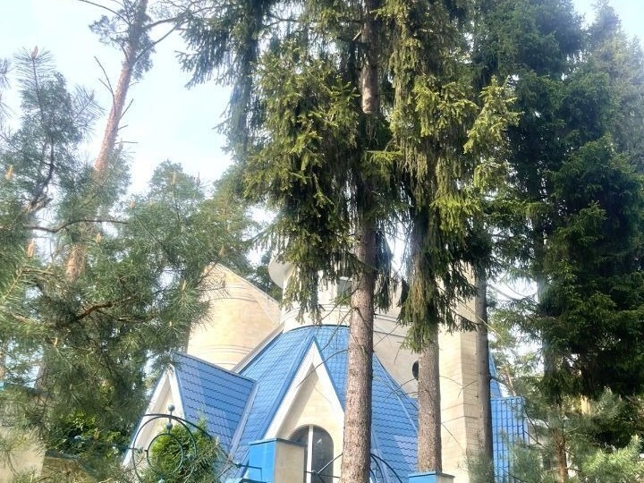 Никологорское (Коттон Вей): дом площадью 700 кв.м на участке 17 сот. | ID 33802