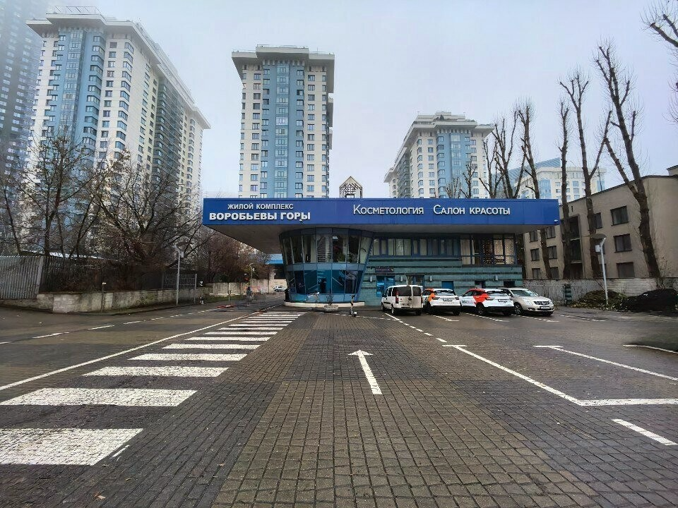 Воробьевы Горы