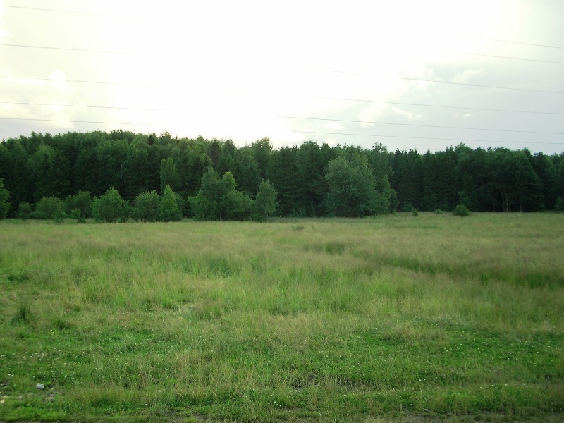 Архангельское УПДП (Косыгинские Дачи): земельный участок 39 сотка в 9 км от МКАД | ID 9668