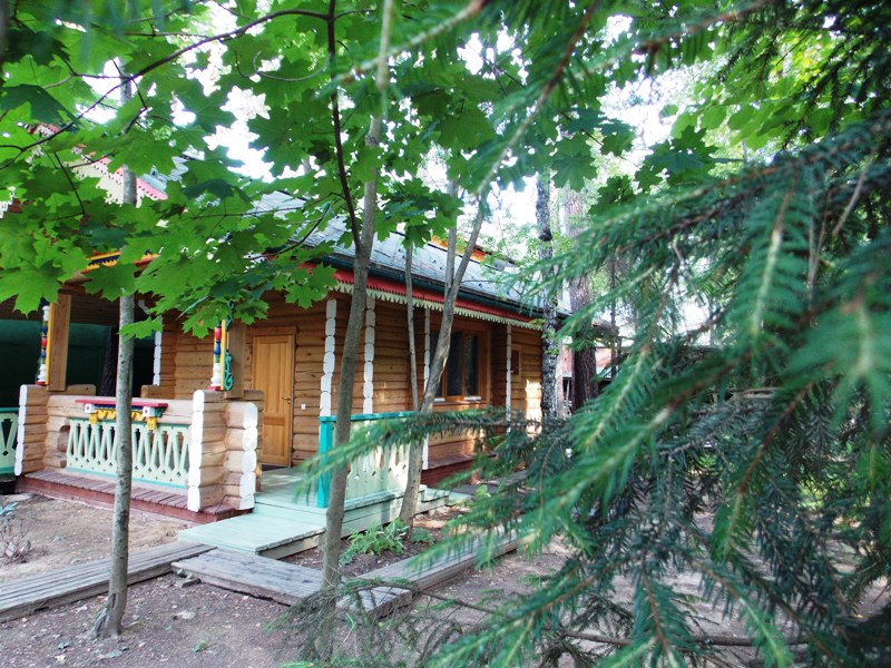 Жуковка Академическая: деревянный дом площадью 580 кв.м на участке 38 сот. | ID 28204