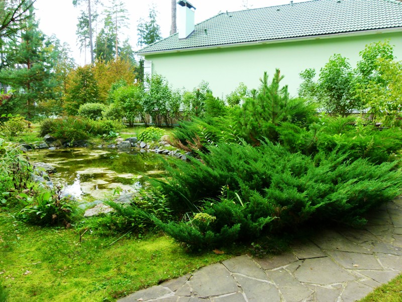 Никологорское (Коттон Вей): дом площадью 930 кв.м на участке 45 сот. | ID 29096